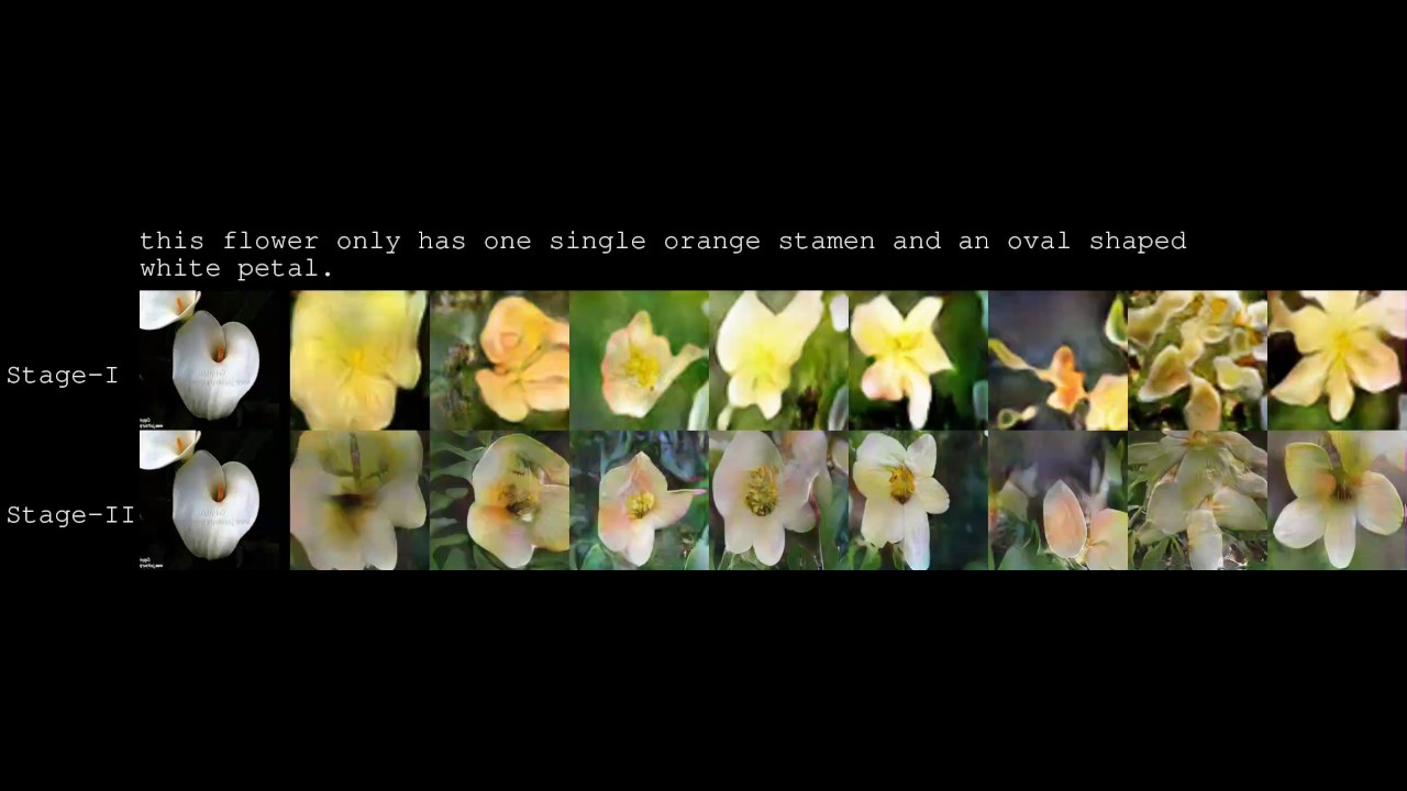 Flowers generated from text descriptions by StackGAN YouTube