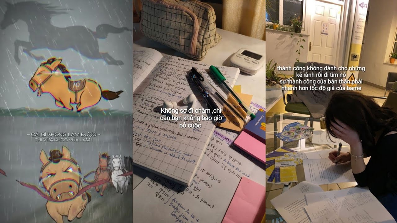 |Động lực học tập |#48