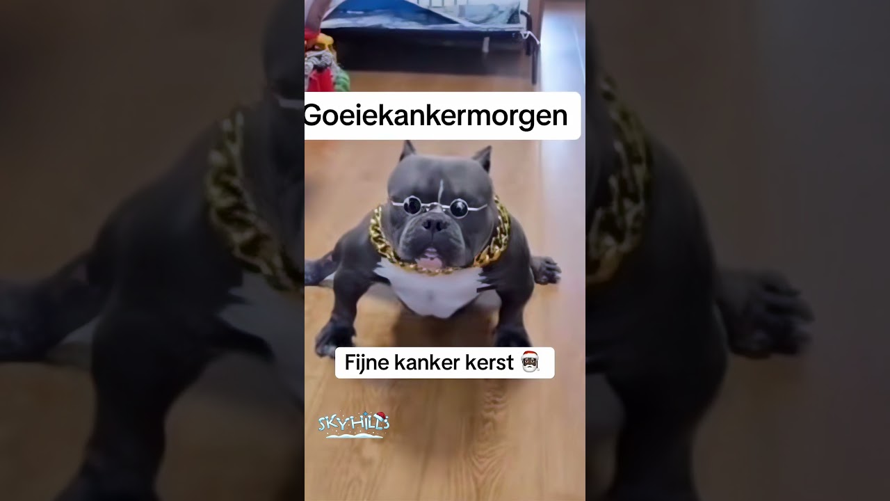fijne kerst iedereen! #fijnekerst #kerst #kerstdagen🎄 #tiktoknederland #viraal #shorts