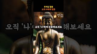 오직 나에게 집중 | 나를 사랑하는 법 | 부처님 말씀 | 불교명언