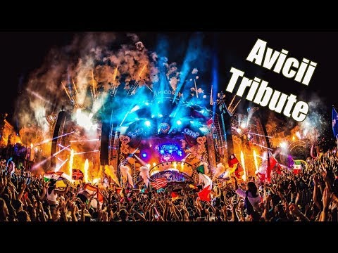 David Guetta: Titanium Vs Avicii: Hey Brother - Tomorrowland 2018