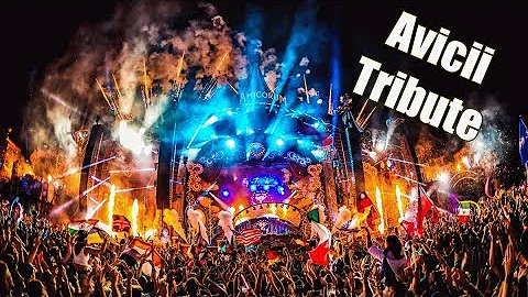 David Guetta: Titanium VS Avicii: Hey Brother (Afrojack Mashup) - Tomorrowland 2018