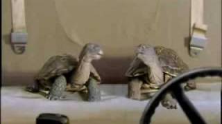 remix! new slowsky comcast turtle commercial 2