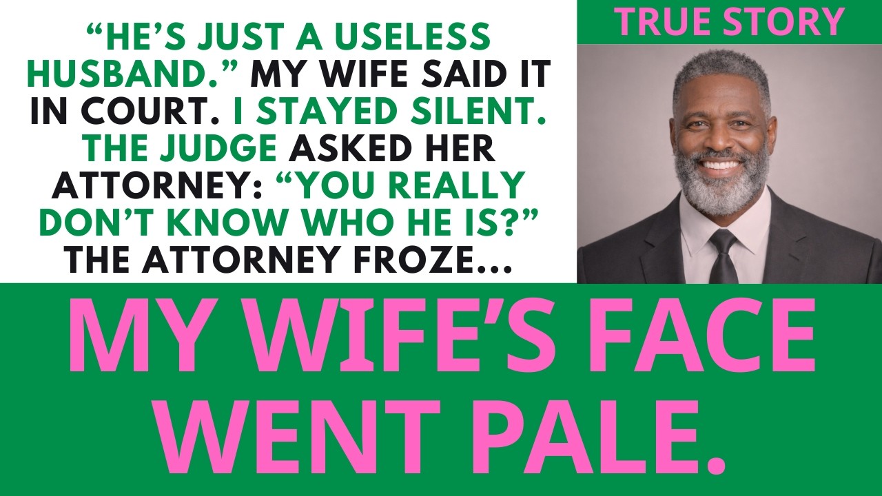 Judge's Question Turned the Tide After My Wife Called Me 'Useless'... | Sugar Dad Stories.