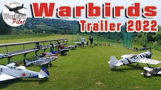 Warbirds over Lier 2022 Trailer