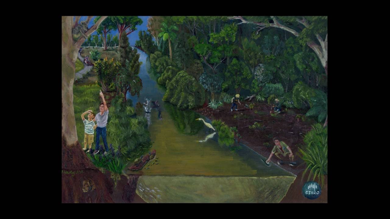 Slacks Creek Restoration Snapshot YouTube