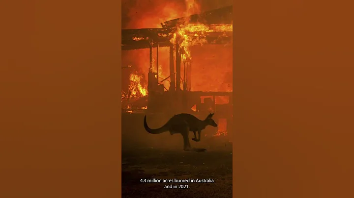 Climate change is making 50% more fires - UN report