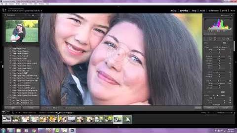 Using Brushes with Pretty Preset