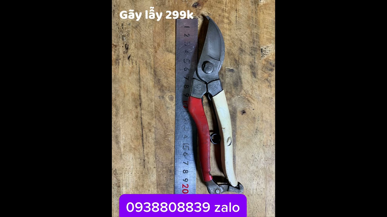 Chia sẽ giao lưu đến mọi người yêu mến câu cảnh cũng như đam mê nghệ thuật bonsai clip 17/9/25