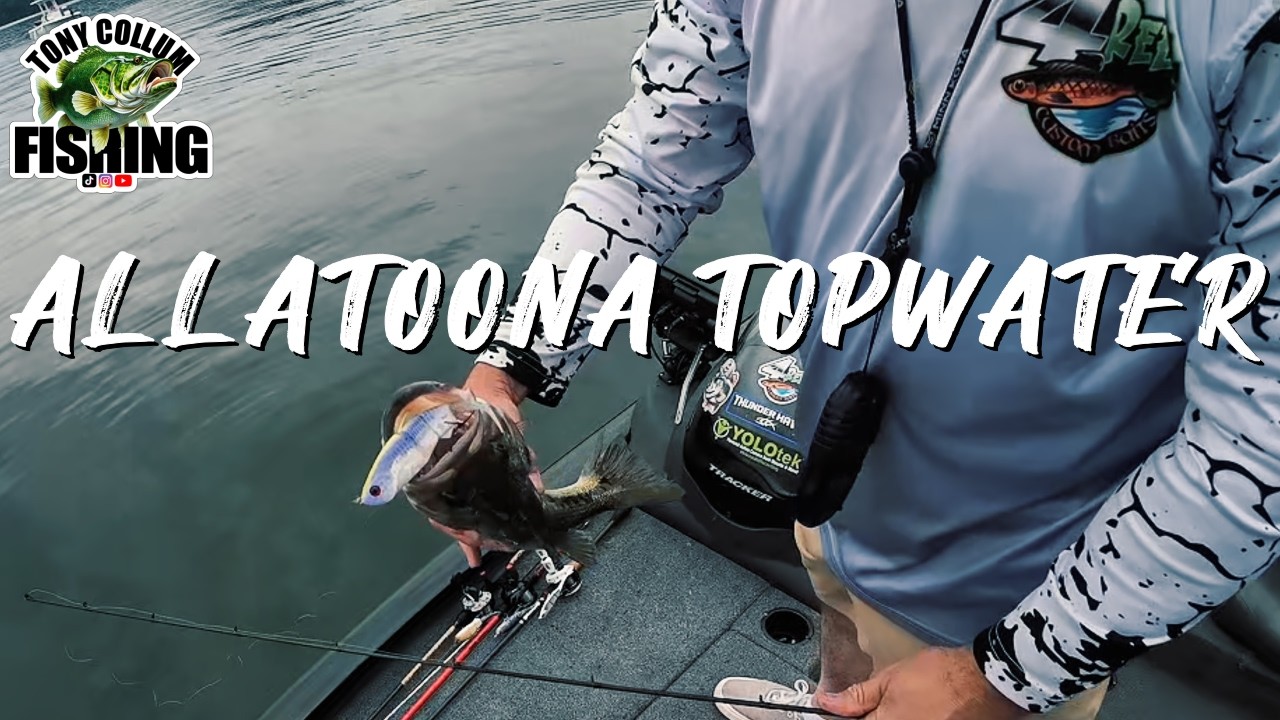 Topwater Bass Fishing on Allatoona (Insane Bites)