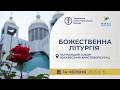 † Божественна Літургія онлайн | Патріарший собор УГКЦ | 07.06.2026 Єднаймося в молитві!