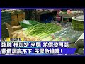 颱風樺加沙來襲