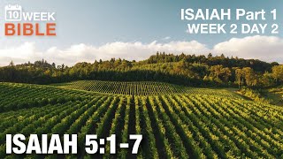 The Vineyard of the Lord Isaiah 5 1 7 Week 2 Day 2 Study of Isaiah Part 1