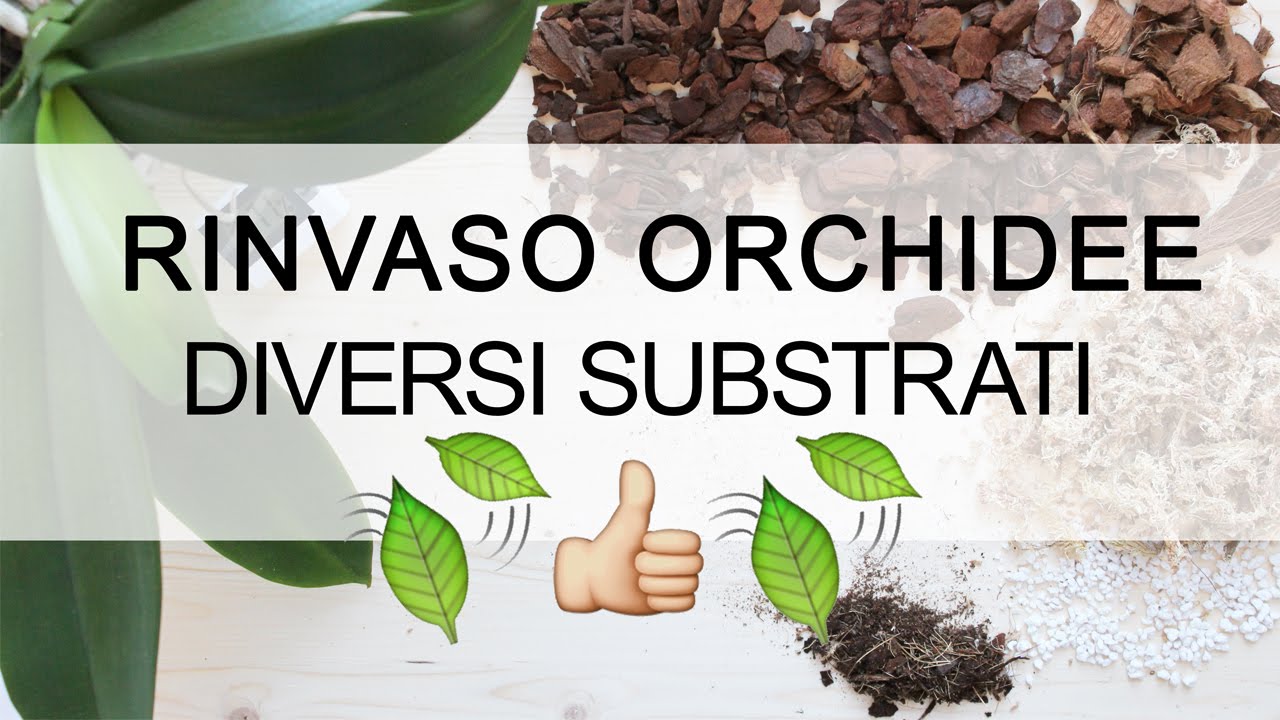 Rinvaso Orchidee - Diversi Substrati : Bark, Mallo di Cocco e