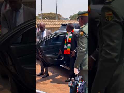 Muridzi WeMusha Kuti Pacha Kusvika Mnangagwa Zimbabwe Zanupf