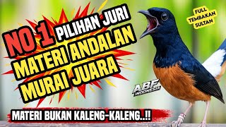 Full materi juara ! MASTERAN MURAI BATU ISIAN TEMBAKAN SULTAN‼️