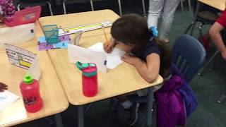 SIOP Lesson 2