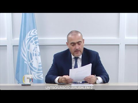مسؤول أممي: سنواصل دعم جهود تحقيق حل الدولتين