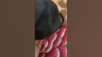 Leetcode cap unboxing #redeem #swags #leetcodecap #reward