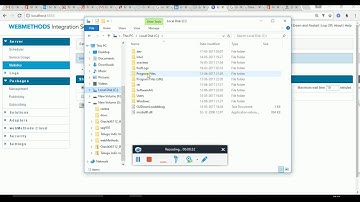 Package Installation in Webmethods