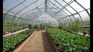 The Essential Guide to Greenhouse Gardening: Extend Your Growing Season