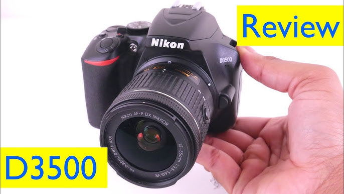 Nikon D3500 Review