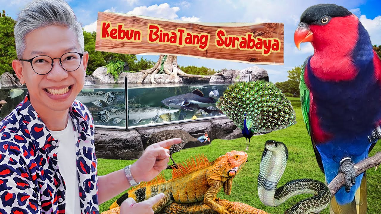 INILAH KEBUN BINATANG TERBESAR DI SURABAYA!!