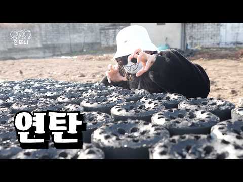 혼또니의 좌충우돌 연탄봉사 이야기 (feat. 산타할아버지 보고있나)