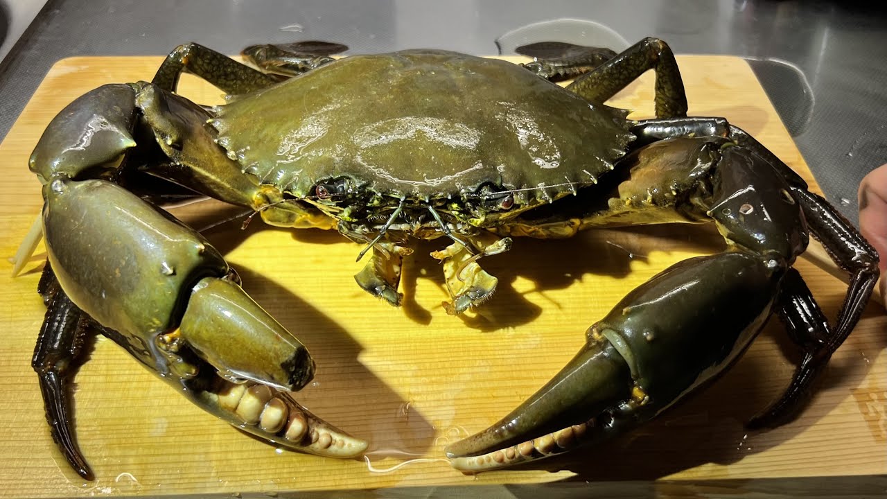 Shocking] The story of the rare luxury crab that appeared in