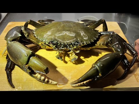 新品 匿名 spindleshanks crab カニ hqdefault.jpg?v=654eb936