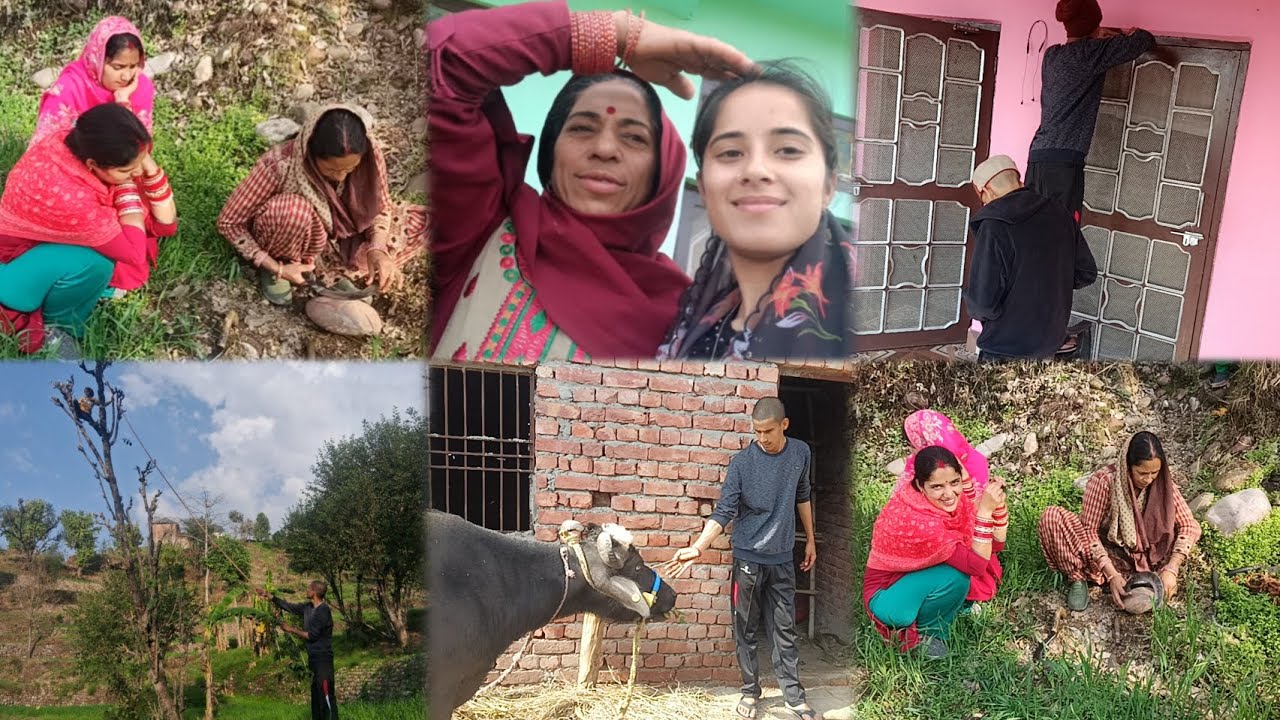 #आखिरकार इतने दिनों के बाद  हिम्मत करके बना ही दिया ब्लॉग 😔।।#himachal #villagelife #pahadilifestyle