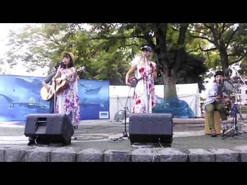 海の声 いーどぅし 横浜スタジアム