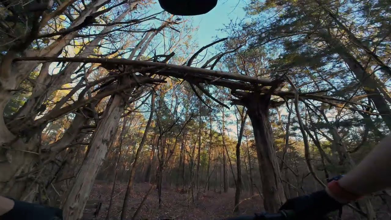 Ridgeland Trails MS Rollercoaster & A-Line