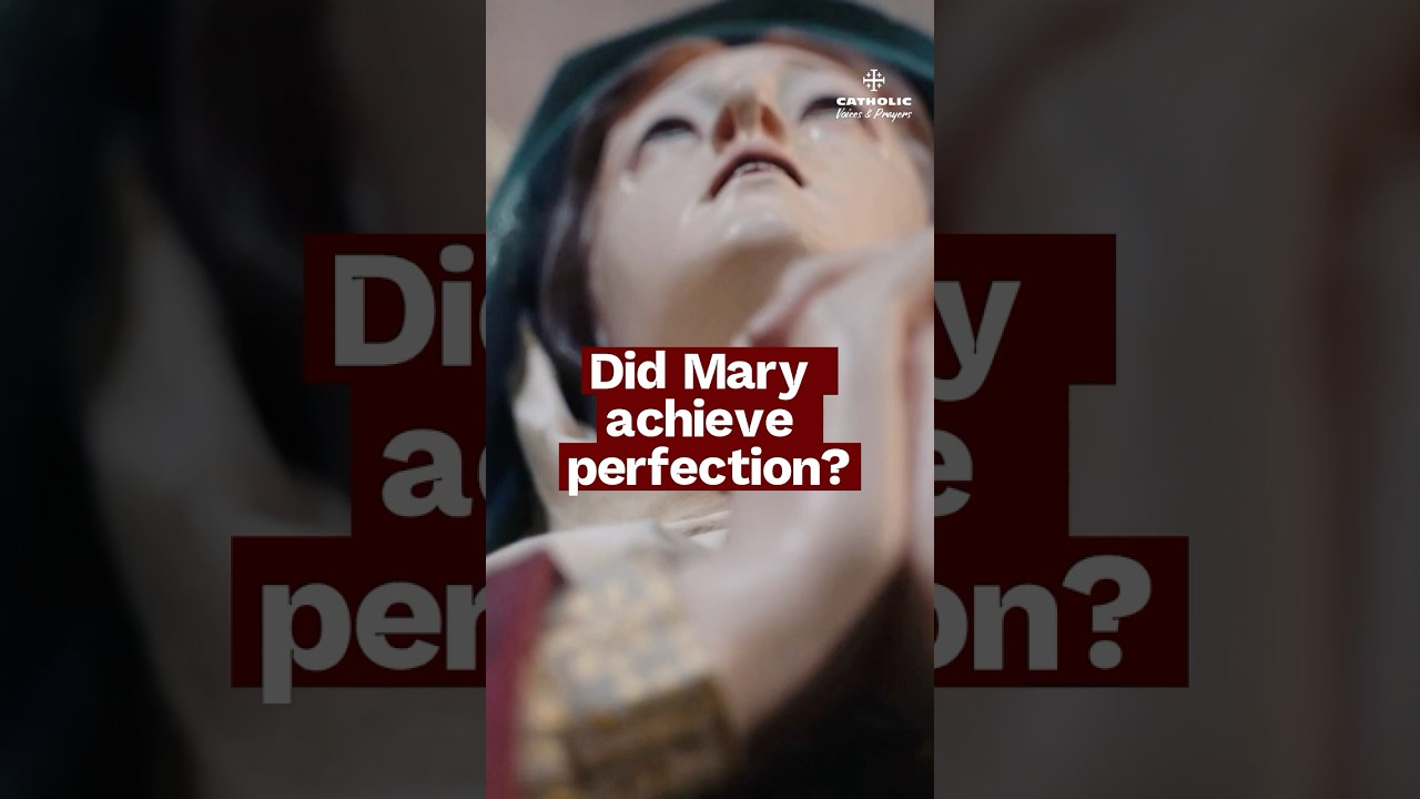 Was the Blessed Virgin Mary Perfect?