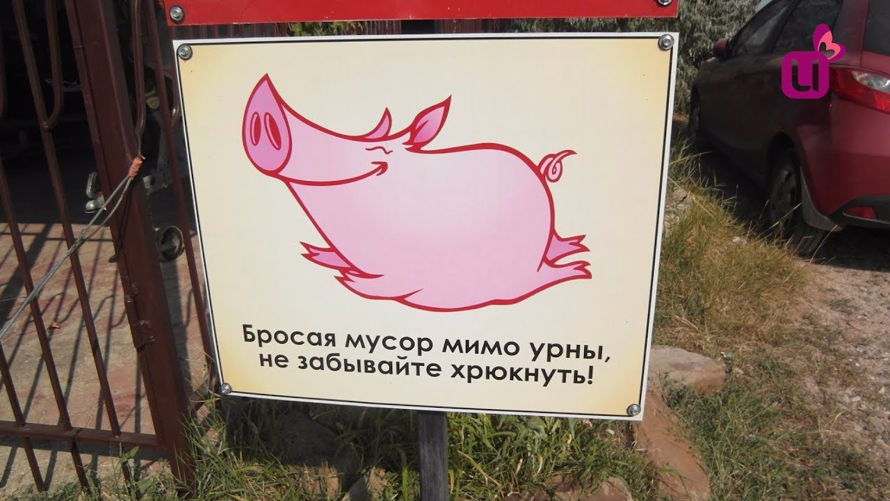 Кинул урну