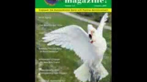 barbara_heidenrich_behavorist.flv