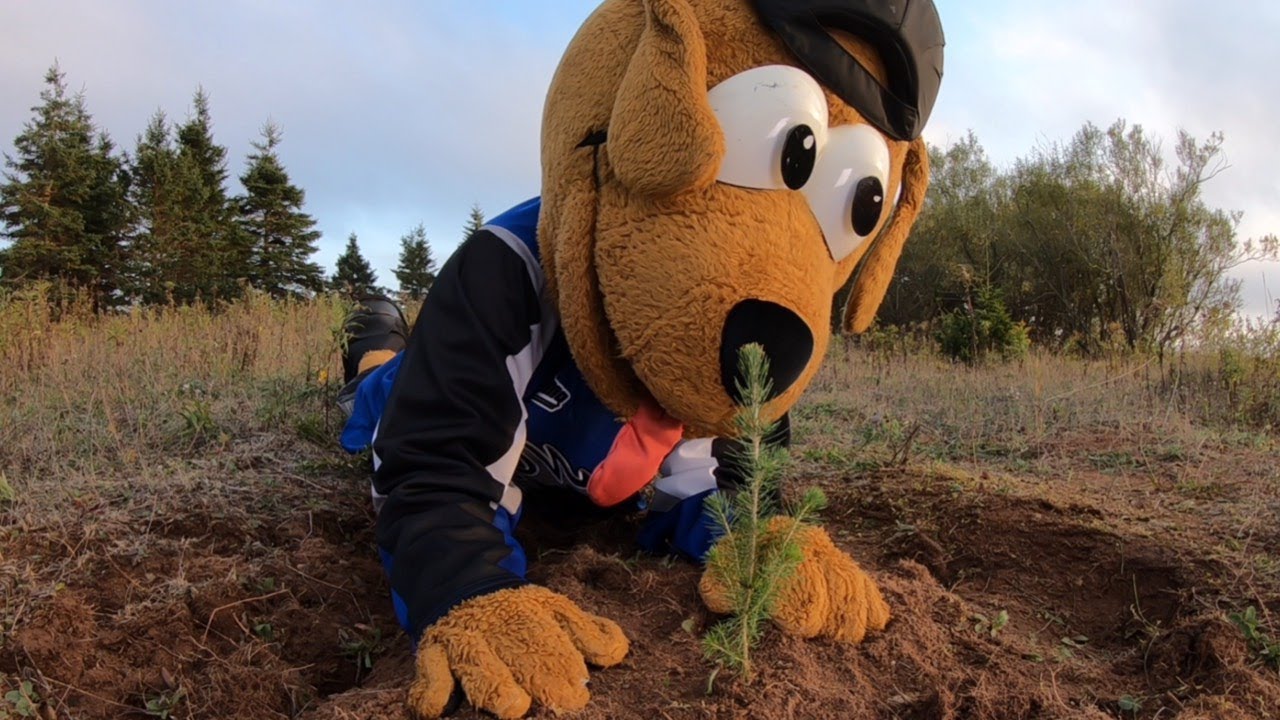 Saint John Sea Dogs - Happy National Mascot Day (yes, it's a thing) to our  favourite mascot!