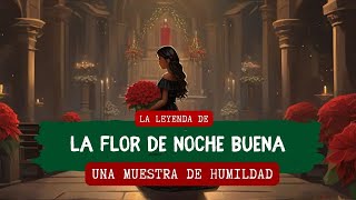 The Legend of the Poinsettia - A Sample of Humility