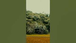 Story wa sholawat - Fen layalik