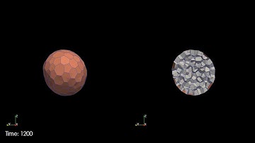 3D vertex model: cell apoptosis
