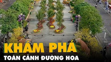 Flycam, khám phá toàn cảnh đường hoa Nguyễn Huệ Tết Nhâm Dần 2022