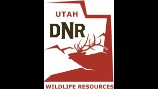 DWR RAC Meeting - Southeastern Region 8/5/2020