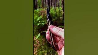 CRKT M-16 EDC Pocket Knife
