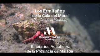 Los Ermitaños de la Cala del Moral (Rincón de la Victoria). Senda Litoral Los Ermitaños de la Cala del Moral (Rincón de la Victoria). Senda Litoral
