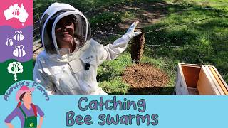 🐝 Aunty Catches a Bee Swarm! The Amazing Bee Bridge 🍯