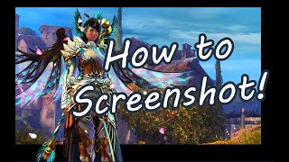 How To Take Good Screenshots In GW2