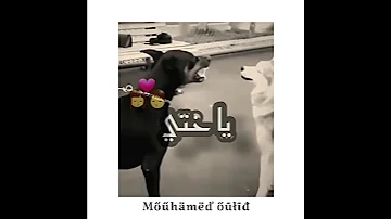 عندما يبرد القلب حالة واتس اب 