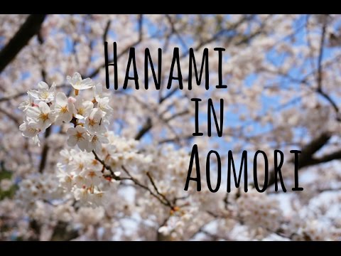 Hanami in Aomori City, Japan