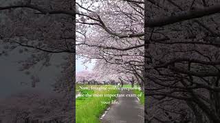 🌍 STUDY AROUND THE WORLD — Destination #2: Japan 🇯🇵. Subscribe and Join the Journey.