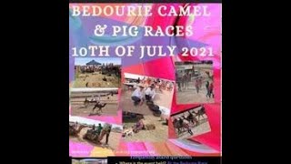 Bedourie Camel N Pig Races 2021